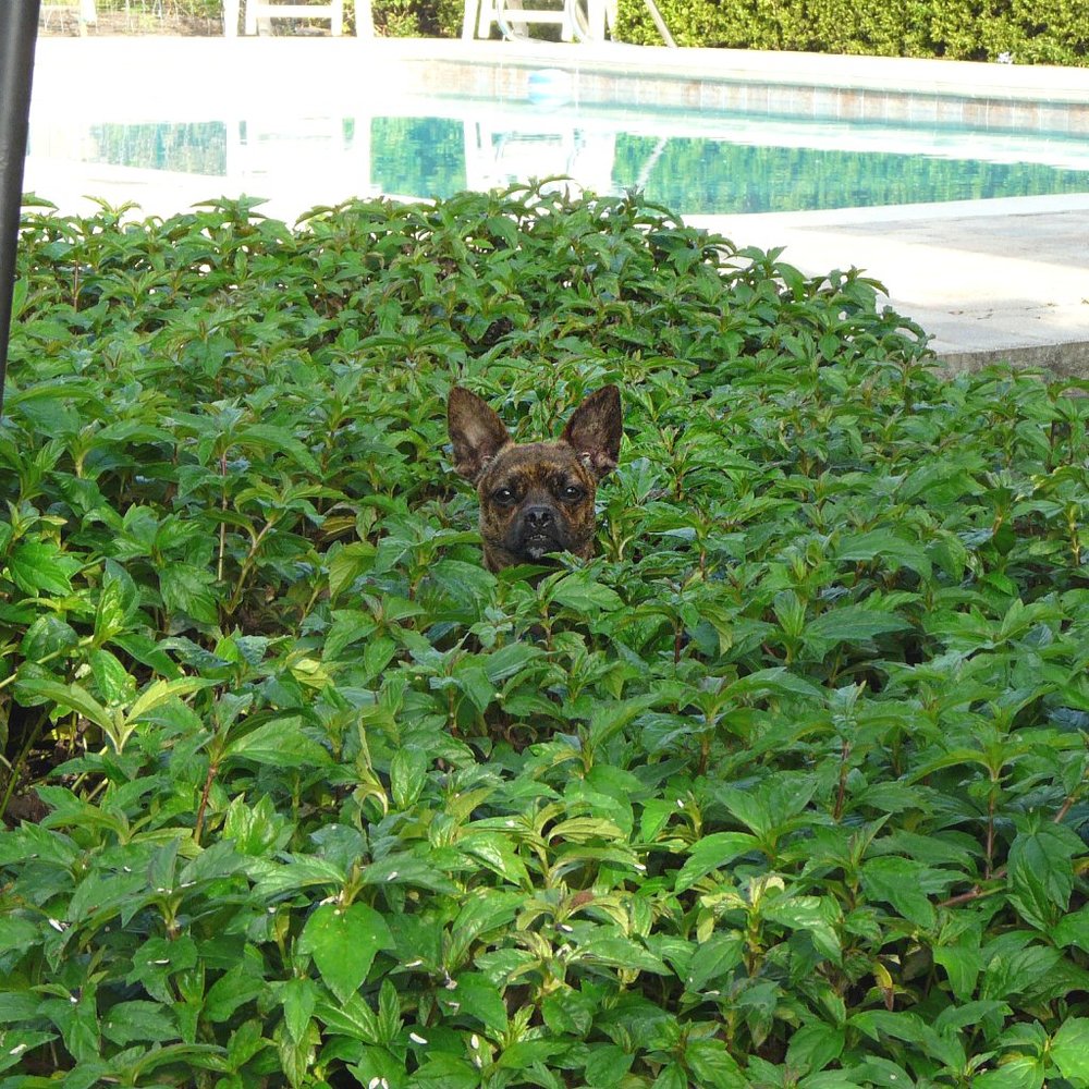 Meet your Posher, Michelle - Picture 2 of 3